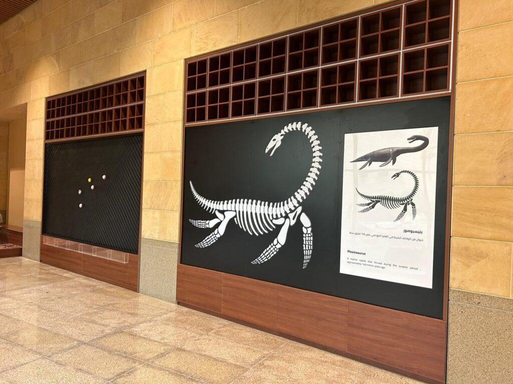 DAILY ACTIVITIES – SAUDI NATIONAL MUSEUM