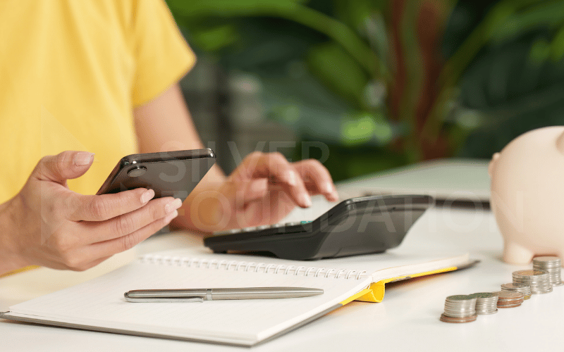 Manage Budget and Resources